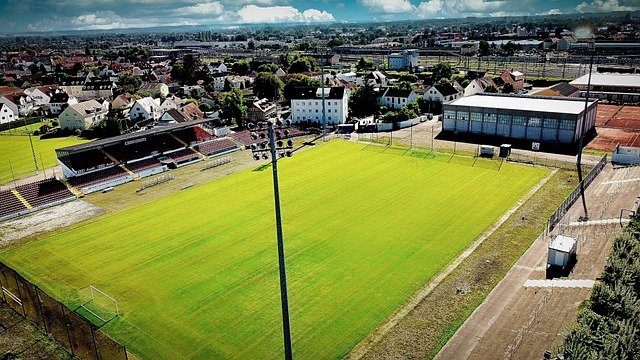 他承認自己 他承認自己