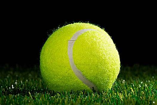 场上的斗士 场上的斗士