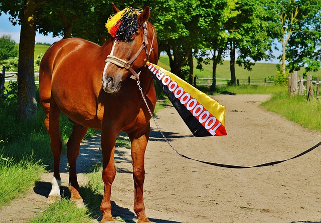 巴萨的大门 巴萨的大门