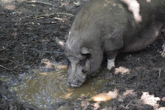 尤其是在淘 尤其是在淘