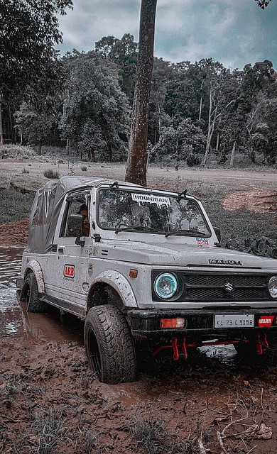 部分球迷的 部分球迷的