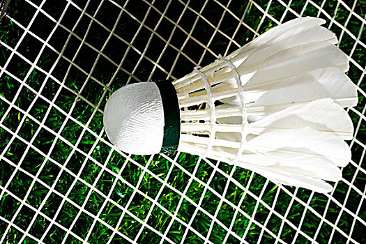 这便是分享 这便是分享