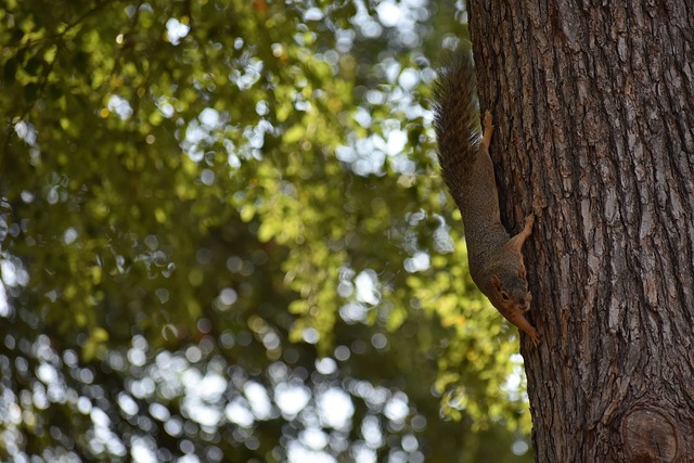 還代表著這 還代表著這