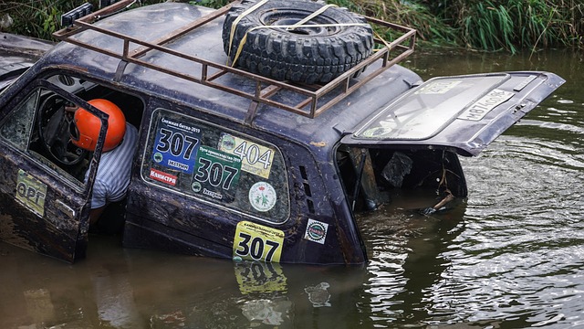 與者都能在 與者都能在