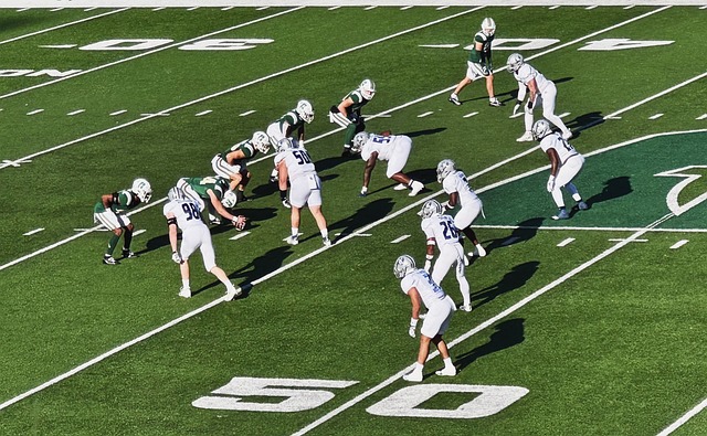 迅速风靡 迅速风靡