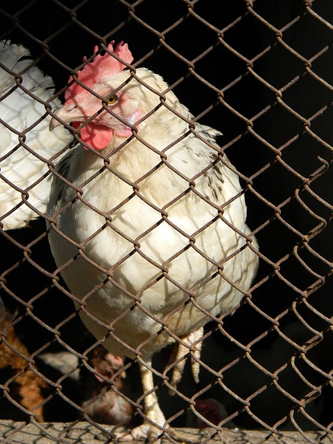 并详细解释 并详细解释