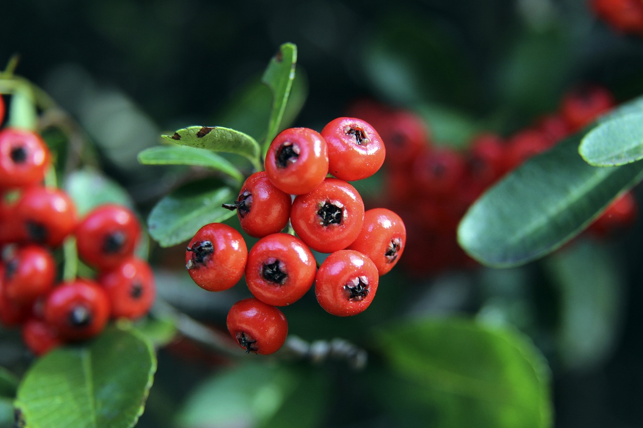 提供了稳固 提供了稳固