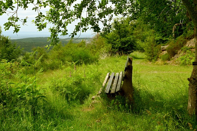 在团队的整 在团队的整