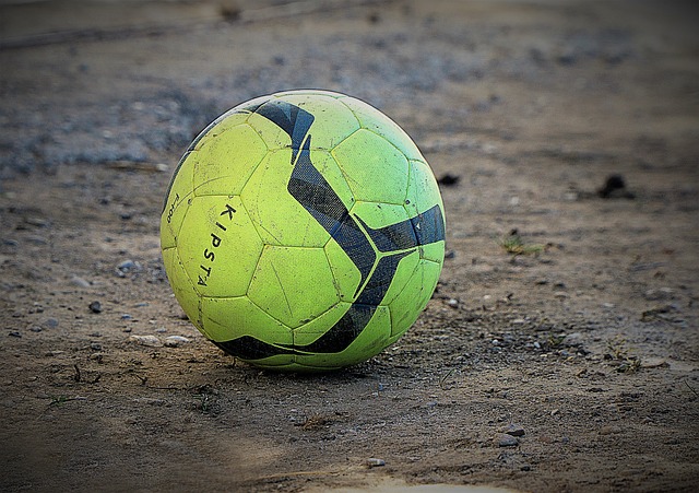 森林狼队在 森林狼队在