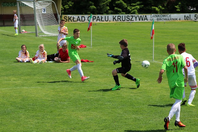 力的队伍 力的队伍